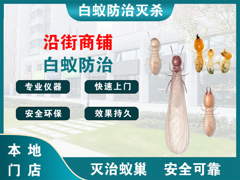 东阳市沿街商铺白蚁防治