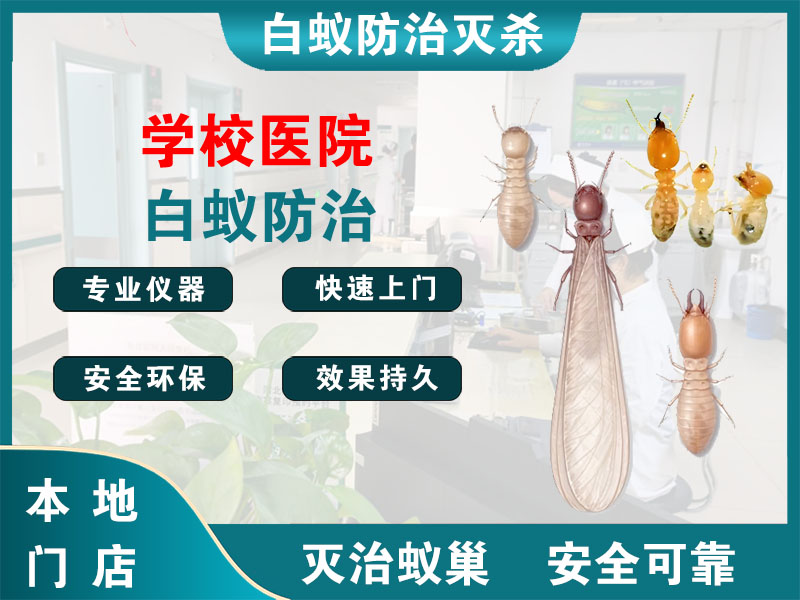 东阳市学校医院白蚁防治