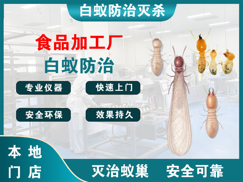 东阳市食品加工厂白蚁防治