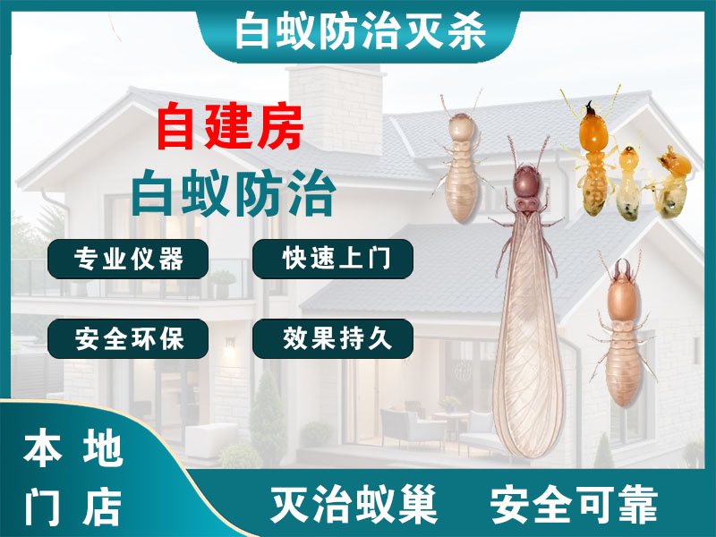 东阳市自建房白蚁防治