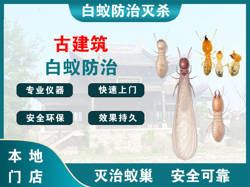 东阳市古建筑白蚁防治