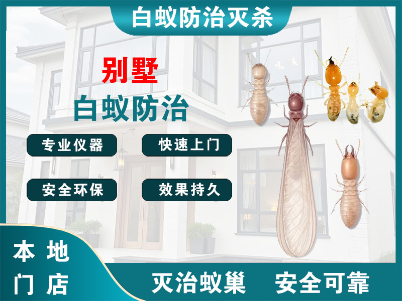 东阳市别墅白蚁防治